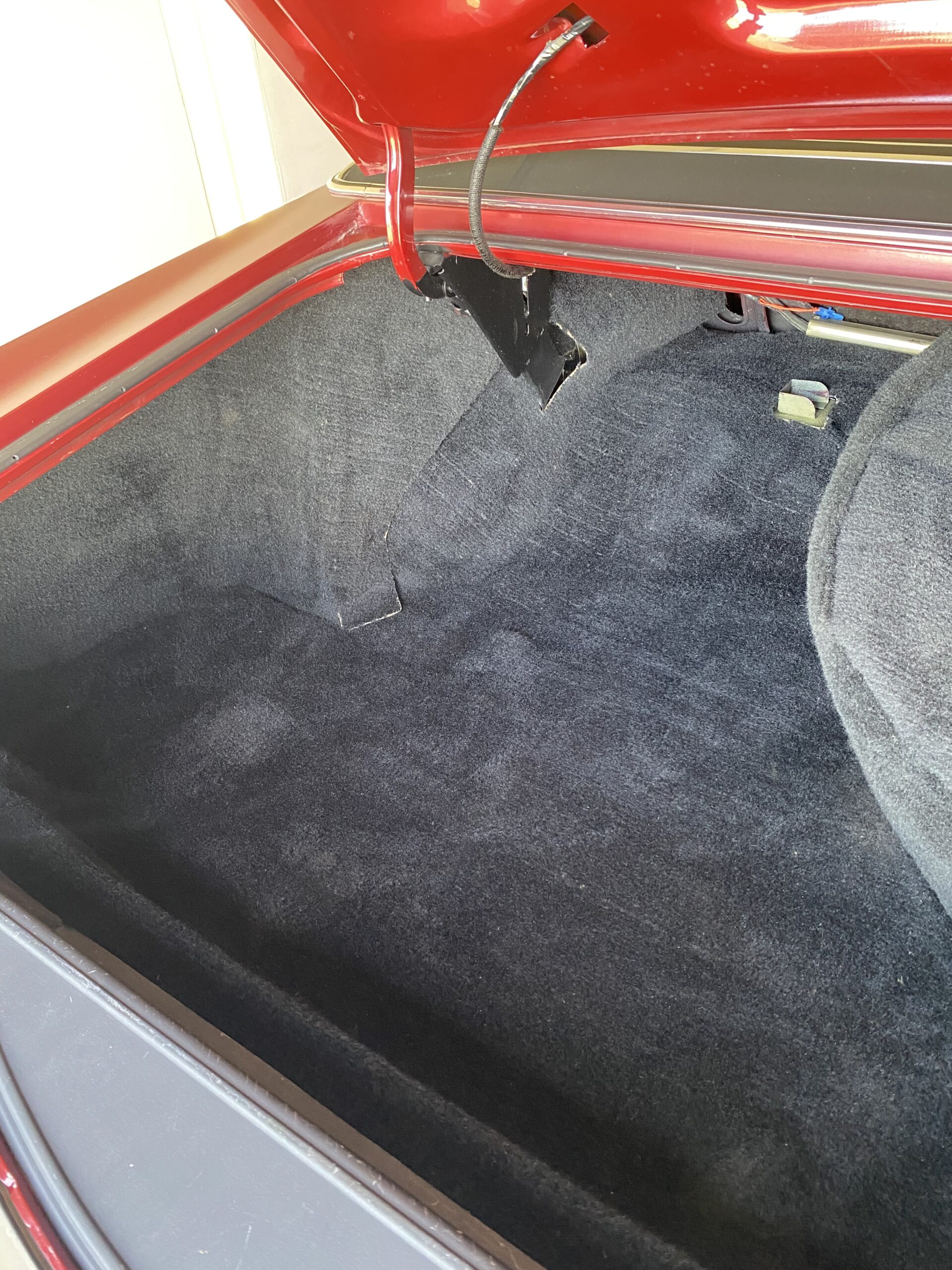 Photo 2024-04-15, 2 51 11 PM